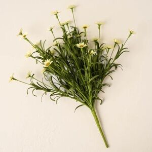 Magnolia Drop in Daisy Pick